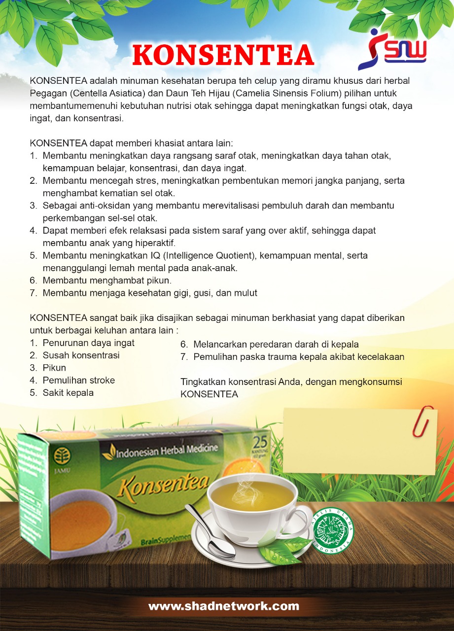brosur konsentea